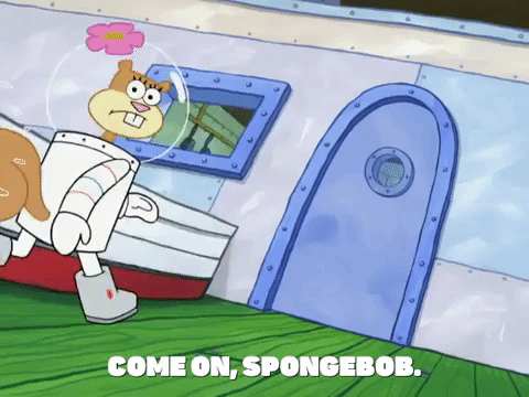 season 8 GIF by SpongeBob SquarePants