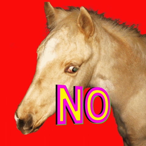 horse no GIF by BuzzFeed Animation