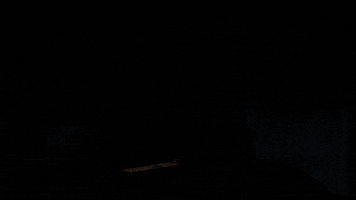 Scary Movie Halloween GIF by NETFLIX