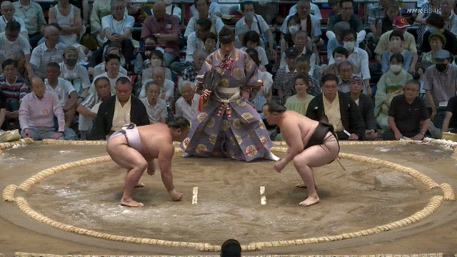 TZ85 giphyupload sumo 2023 nagoya basho kotoeko GIF