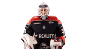 Celebration Goal Sticker by Les Ducs d'Angers