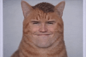 Chad Bizzarre GIF