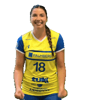 Volleyball Celebrating Sticker by SSCPalmbergSchwerin