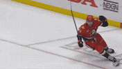 Happy Anaheim Ducks GIF by NHL