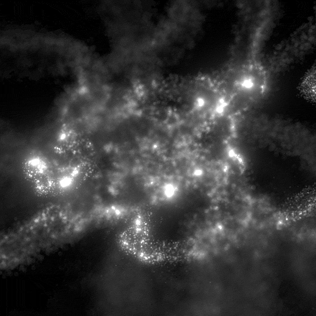 xponentialdesign loop space black and white stars GIF