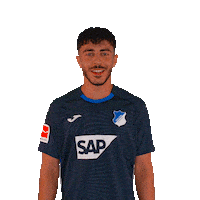 Bundesliga Tor Sticker by TSG Hoffenheim