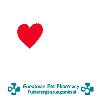 Dachshund Dac Sticker by Europeanpetpharmacy