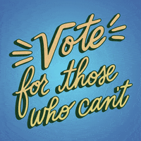 Voting Vote For Me GIF by Creative Courage