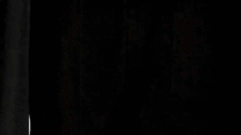 DandyDanno giphyupload GIF