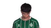 Werder Bremen Covic Sticker by Bundesliga