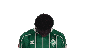Werder Bremen Sticker by Bundesliga