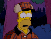 homer simpson GIF
