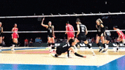 Hande Baladin Mt GIF