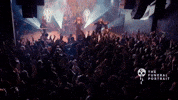 Concert Crowd GIF by Better Noise Music