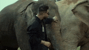 Happy Music Video GIF by Karan Aujla
