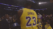 lebron james basketball GIF by NBA