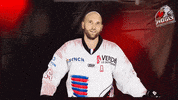 La Roche Sur Yon Valentin GIF by Hockey Glace Yonnais