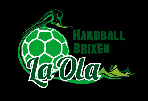 LaolaBrixen giphygifmaker handball brixen laola brixen GIF