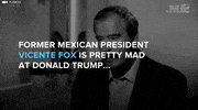 donald trump GIF