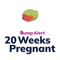 Pregnancy Expecting Sticker by The Bump