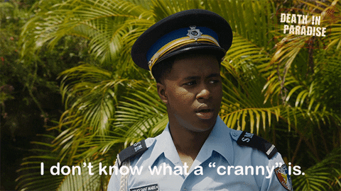 Dip I Dont Know What That Is GIF by Death In Paradise