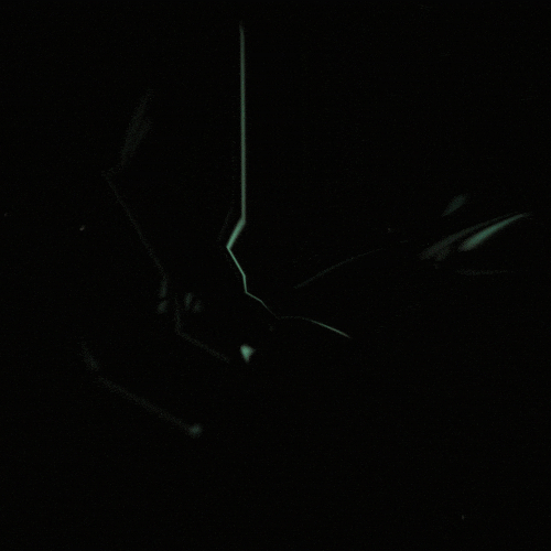Background animation