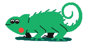 Nationalpetsday Sticker by Spotify
