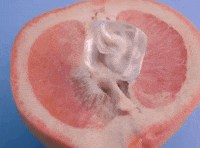 pynk GIF by Janelle Monáe