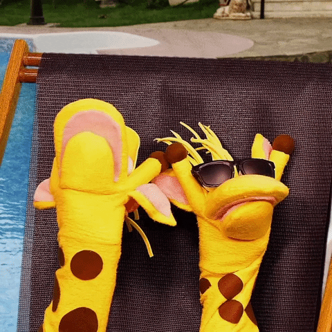 Giraffas giphyupload relax sol alegria GIF