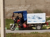 Happy Cat GIF