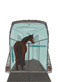 horzdrive pferd pferde pferdeanhänger horsetrailer Sticker