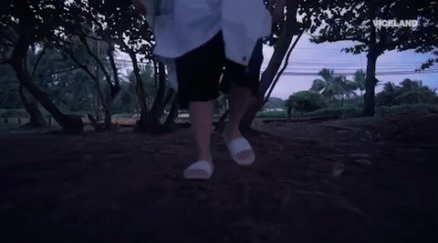 viceland GIF by HUANG'S WORLD