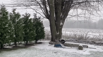 Flurry of Snow Hits Upstate New York