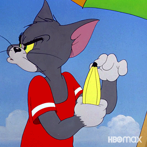 Chasing Tom And Jerry GIF by HBO Max