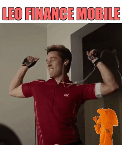 sgt-dan giphygifmaker giphyattribution dancing crypto GIF
