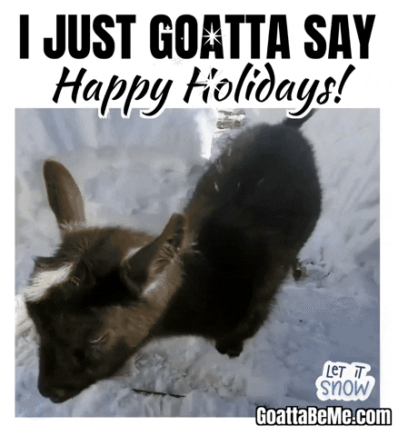 Merry Christmas Happy Holidays GIF by Goatta Be Me Goats! Adventures of Java, Toffee, Pumpkin and Cookie!