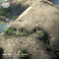 Video Games Panda GIF by Official PUBG MOBILE