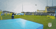 National Football League GIF by NFL