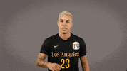 Division Ii Soccer GIF by Cal State LA Golden Eagles