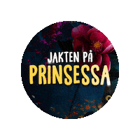 Dns Prinsessa Sticker by Den Nationale Scene