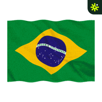 Sticker Flag GIF