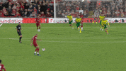 Norwich City Sport GIF by Norwich City Football Club