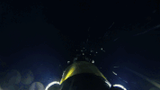water dive GIF by Shark Week
