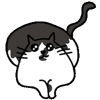 Hungry Cat Sticker