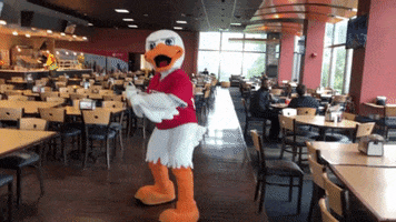 FollowStevens baseball duck strike attila GIF