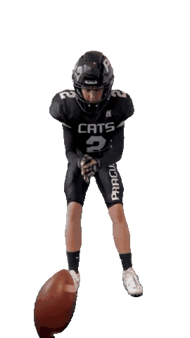 PragueBlackCats americanfootball pbc pbp tacklefootball Sticker