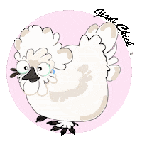 Chickens_gang love chickens poule chickensgang Sticker