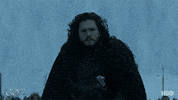 jon snow finale GIF by Game of Thrones