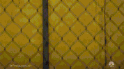 entrance blacklist GIF by NBC