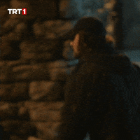 Birkan Sokullu Ne GIF by TRT